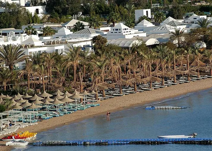 Jolie And Casino Sheikh Otel
