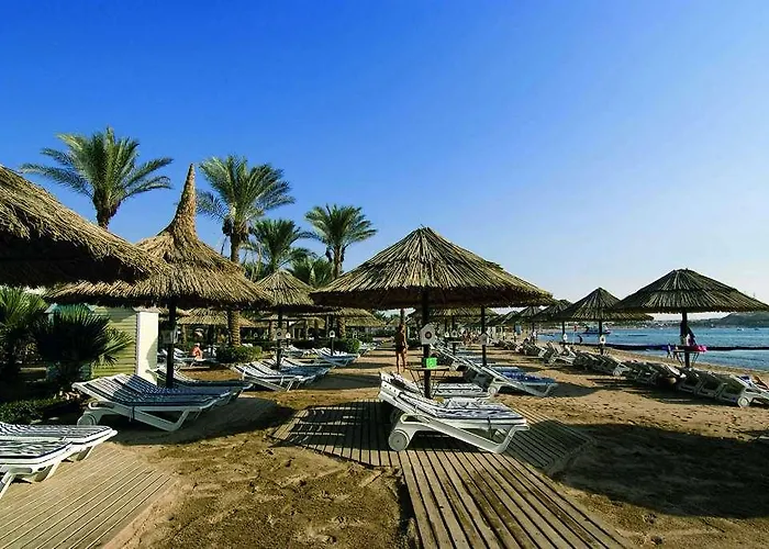 Jolie And Casino Sheikh Otel
