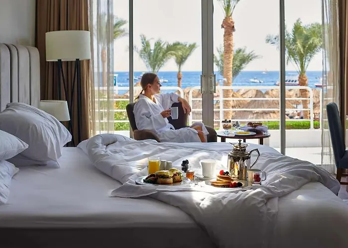 Jolie And Casino Sheikh * Şarm El-Şeyh